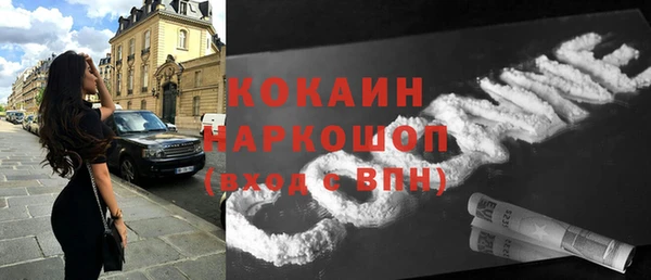 гашик Россошь